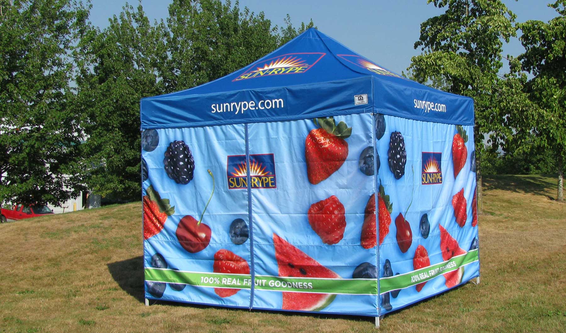 SunRype-custom_wall_08