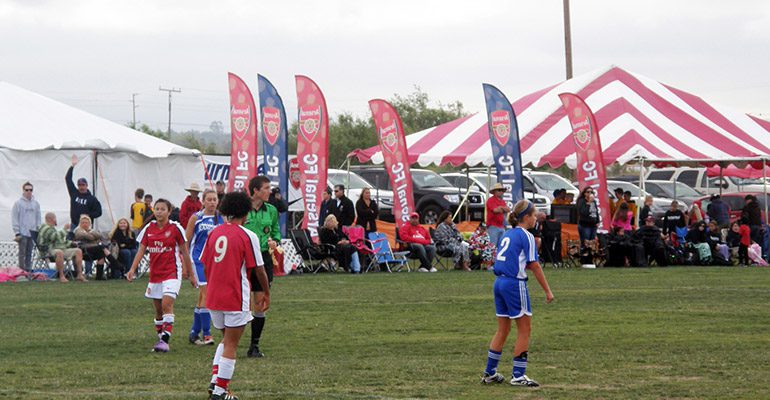 i-catcher_wing-grande_01